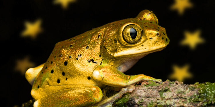 PROBLEME GRELE, NĂRAVURI RELE