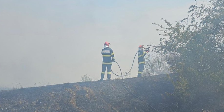 25 de hectare de grâu arse în 24 de ore