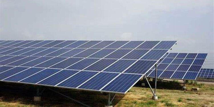 OMV Petrom şi Enery, parteneriat strategic pentru unul dintre cele mai mari parcuri solare din Bulgaria