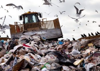 Timișoara, în pericol ecologic: Garda de Mediu sancționează Supercom