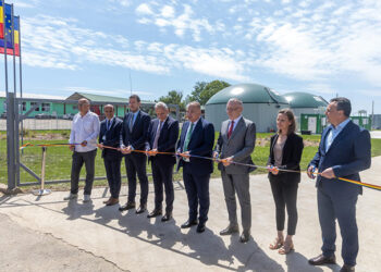 Librăria independentă “La Două Bufnițe“ se închide