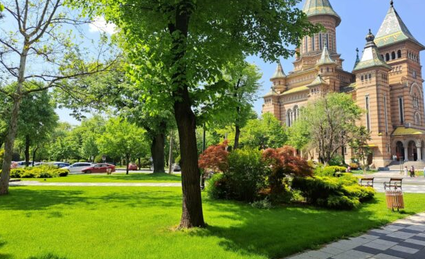 180 de milioane pentru spațiile verzi din Timișoara. Investitori turci, printre ofertanți