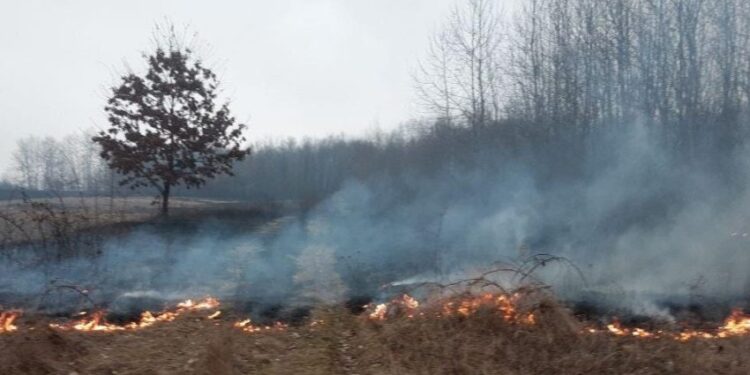 Peste 140 de hectare distruse de incendii în Timiș