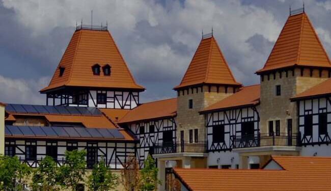 Spitalul Județean din Timișoara a preluat Castelul Royal