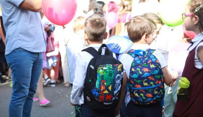 Schimbări importante în rețeaua școlară din Timiș