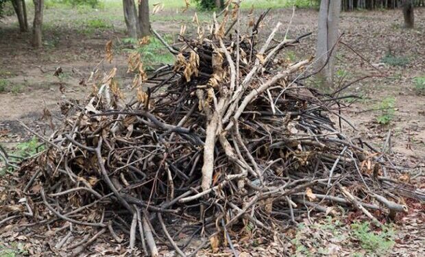 Primăria Timișoara, în dispută cu ADID Timiș