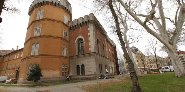 50 de ani de restaurare arheologică la Muzeul Banatului Timișoara