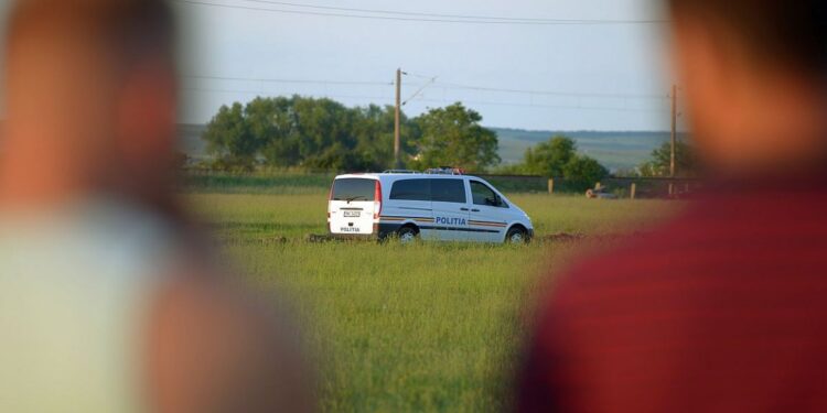 Oseminte găsite într-o baltă cu pești