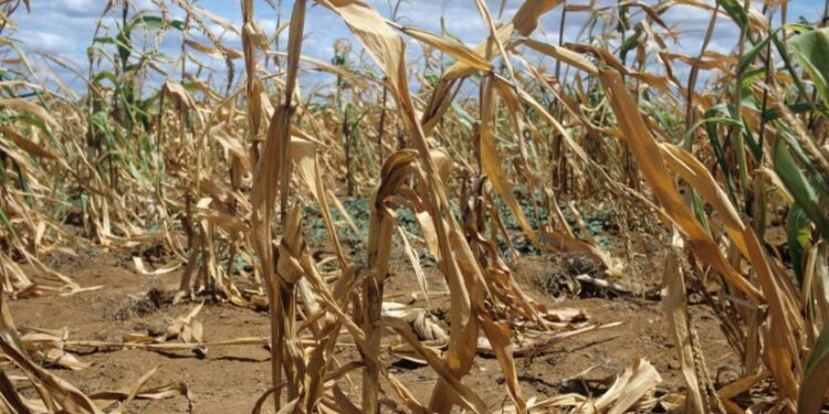 SECETA-PACOSTEA FERMIERILOR