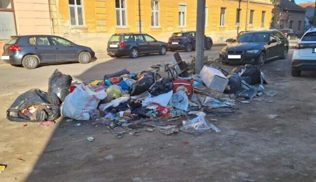 Timișoara și gunoaiele