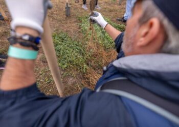 Pădurea CODRU crește la Ianova