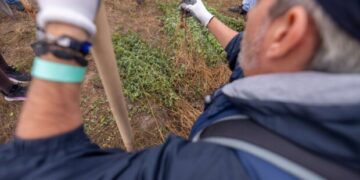 Pădurea CODRU crește la Ianova