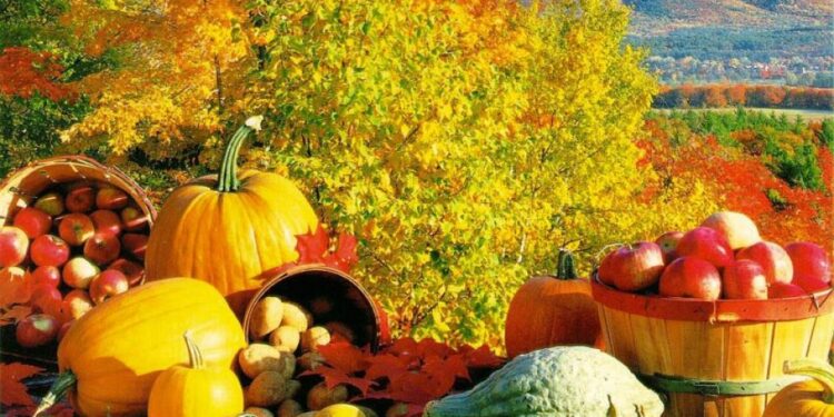 DULCE ROMÂNIE! FESTIVALUL RECOLTEI LA GIROC!