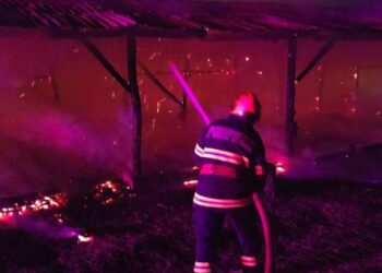 Incendiu la o casă din Timișoara