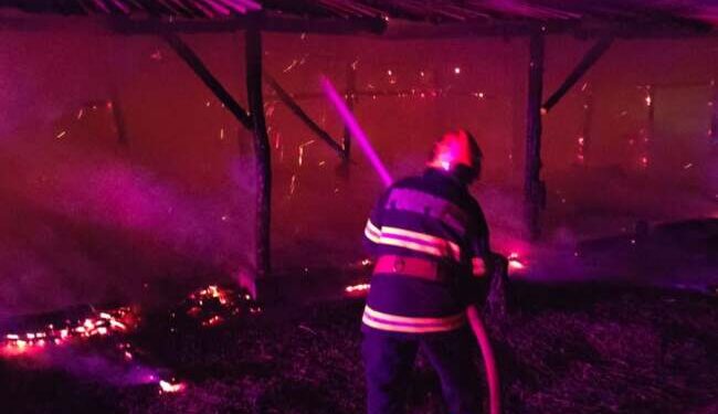 Incendiu la o casă din Timișoara