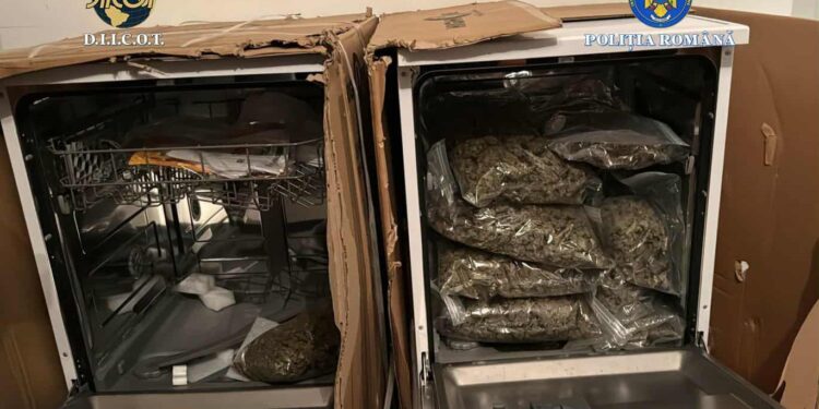 Traficanți de droguri, depistați de oamenii legii