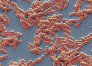 Primul caz de lepră