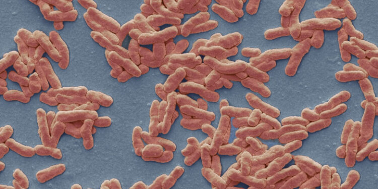 Primul caz de lepră