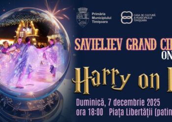 Harry Potter pe patine la Timișoara