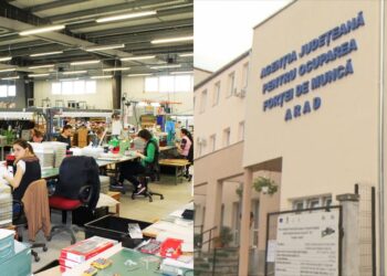 Dependența Periculoasă: 10 Companii Gigant Susțin 14% din Forța de Muncă a Aradului