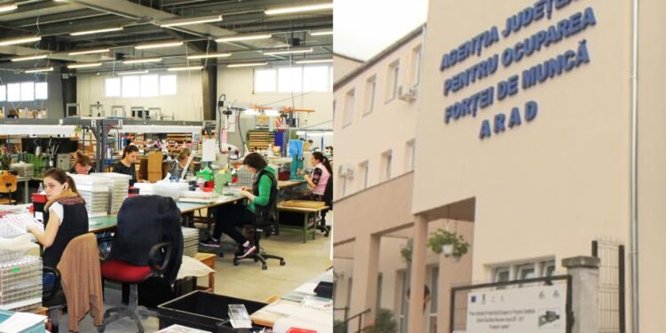 Dependența Periculoasă: 10 Companii Gigant Susțin 14% din Forța de Muncă a Aradului