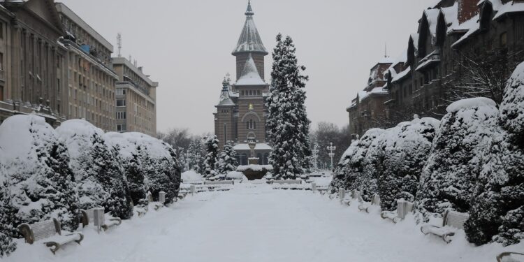Timișoara paralizată de zăpadă