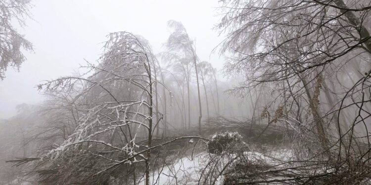 Mobilizare în Caraș-Severin