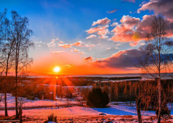 De la cod galben la normalitate