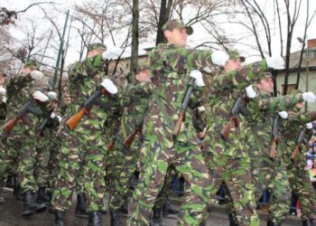 Ofertă de studii militare în Timiș