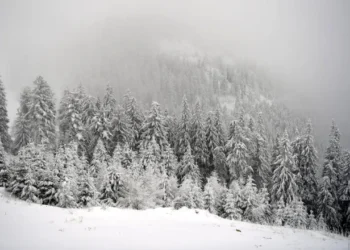 ȚARCU-GODEANU, pericol de avalanșă