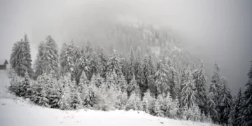 ȚARCU-GODEANU, pericol de avalanșă