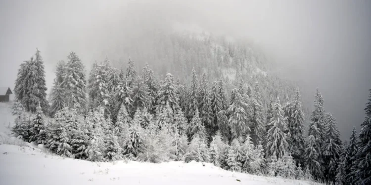 ȚARCU-GODEANU, pericol de avalanșă