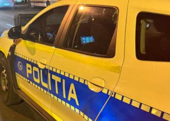 Femeie de 83 de ani tâlhărită la Sânnicolau Mare