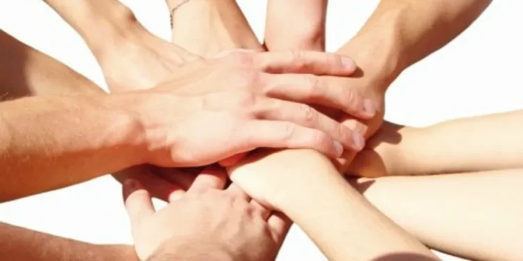 Donații pentru programele de Arhitectură și Economie