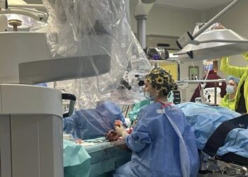 Replantare de succes