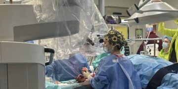 Replantare de succes