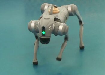 Primul robot controlat vocal din România