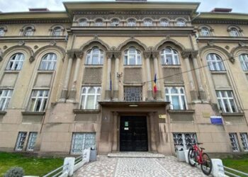 Informare despre vaccinare la Timișoara