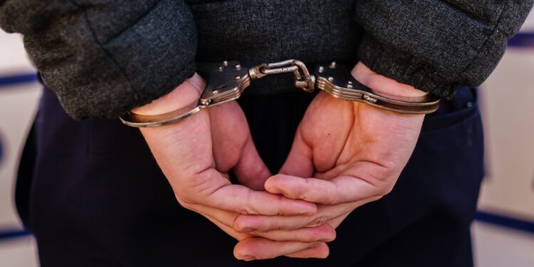 Rețea digitală a groazei