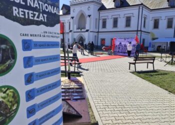 Târg de Primăvară la Castelul Nopcsa din Hunedoara