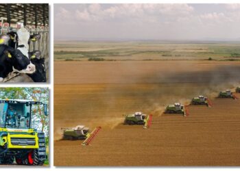 Maxagro cumpără pământ