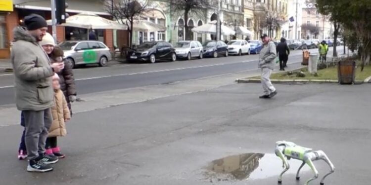 Roboții ies pe străzi: primul oraș din România unde inteligența artificială va ajuta la curățenie